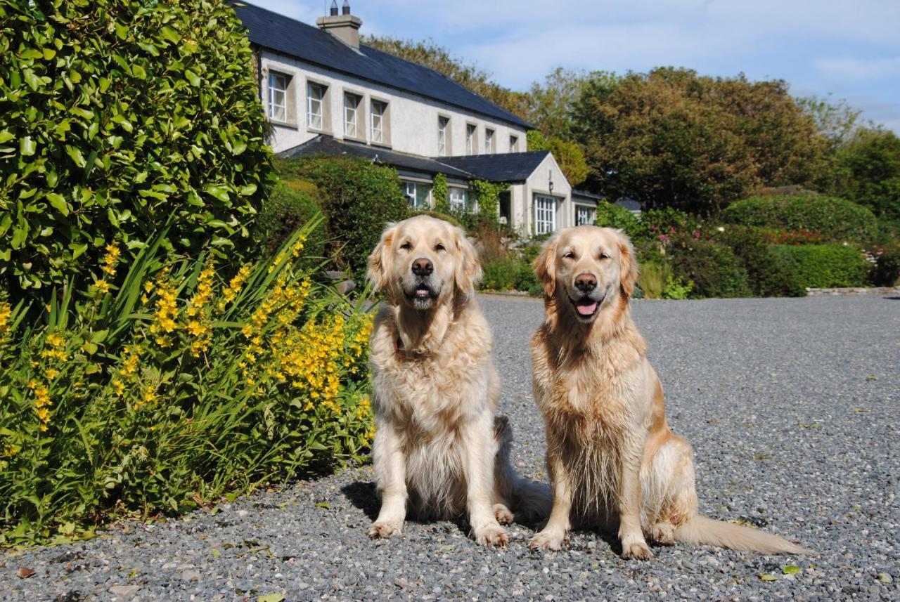 The Mill Guest house Dunfanaghy